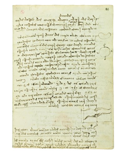 Códice sobre el vuelo de los pájaros, Folio 14 recto de Leonardo da Vinci